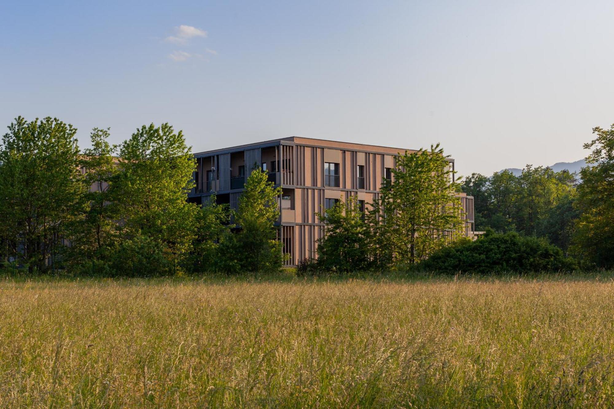 The Nest Apartment Bled Centre Exteriör bild
